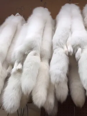 Arctic Fox Fur