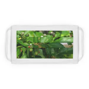 Seeds and Green Leaves Cotton Face Mask (EU)